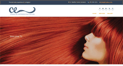 Desktop Screenshot of cesalon.com